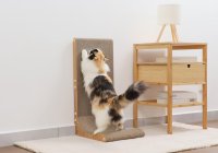 壁を傷つけず、猫がのび〜っと爪とぎできる進化した 縦型「バリバリボード ウッドプレミアム」
全国販売開始！つめとぎパーツは交換可能＆両面使用もOK