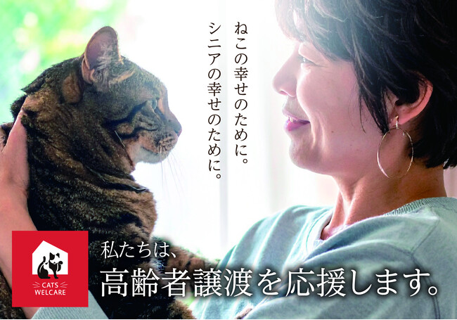 【2025年9月から本格スタート】理想的な、保護ねこの高齢者譲渡に向けて