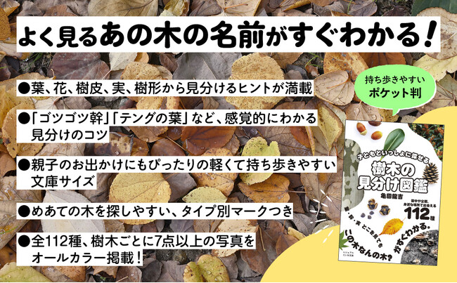 身近な場所で出会える樹木112種を紹介！親子で楽しめるポケットサイズの図鑑『樹木の見分け図鑑』発売（9/12）。