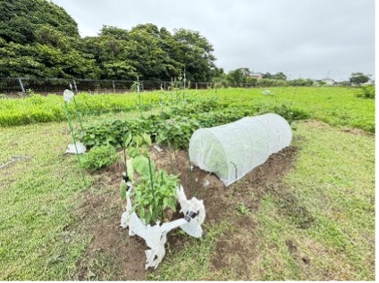 地域おこし協力隊から会社設立、二期目で売上6,300万円を達成！