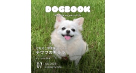 うちの愛犬の写真集がスマホからカンタンに出版できた！「うちのこ写真集」シリーズ第10弾『チワワのキララ』が発売