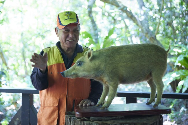 【西表島ホテル】西表島のエコシステムをイノシシ猟師から学ぶ、大人の社会科見学「カマイ狩猟文化体験ツアー」今年も実施