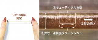 日本初、毛髪キューティクル診断システムを開発　香川大学との共同研究により１本の毛髪から健康状態を定量化