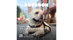 うちのこの写真集が出版・販売できる！「うちのこ写真集」シリーズ第11弾『フレンチブルドッグのパンタ』が発売