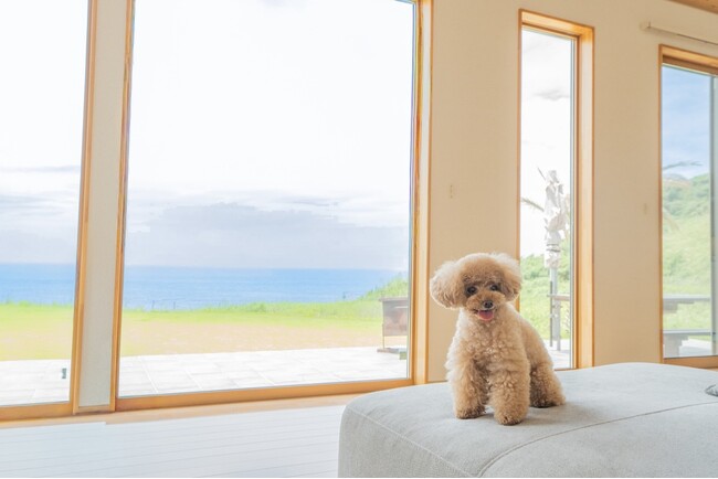 【1日1組限定】館山 布良海岸 愛犬と過ごす至福のリゾートヴィラ｜9月12日(金)GRAND OPEN