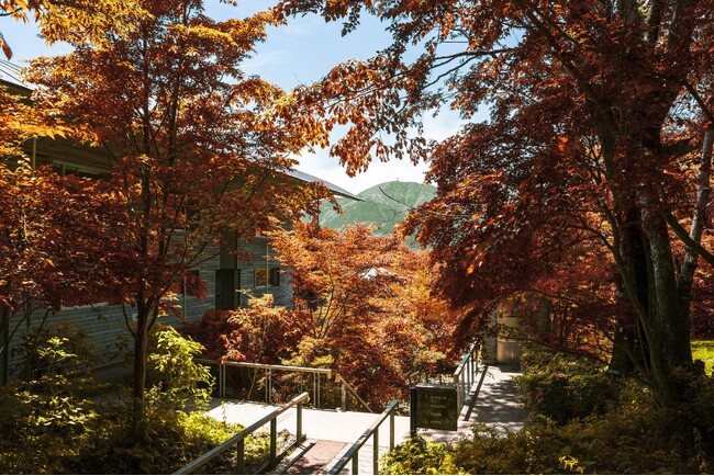 【箱根リトリート fore & villa 1/f】箱根仙石原が幻想的な黄金色に染まる秋