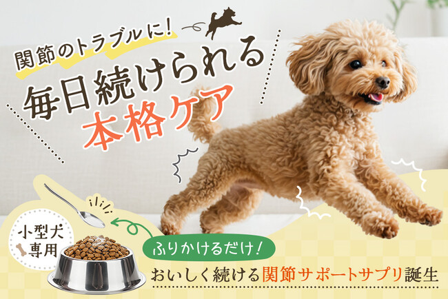 後悔のない選択を。小型犬専用・本気の関節サポートサプリ『パインフォース』CAMPFIREで先行販売開始！