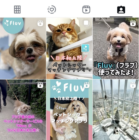 「ペットシッターマッチングプラットフォーム」Fluv、サービス開始2ヶ月で成長率10倍達成！