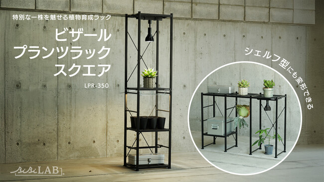 【塊根・多肉植物マニアのあなたに】『特別な一株』を育成ライトで照らして展示ケースみたいに飾れる植物棚が発売