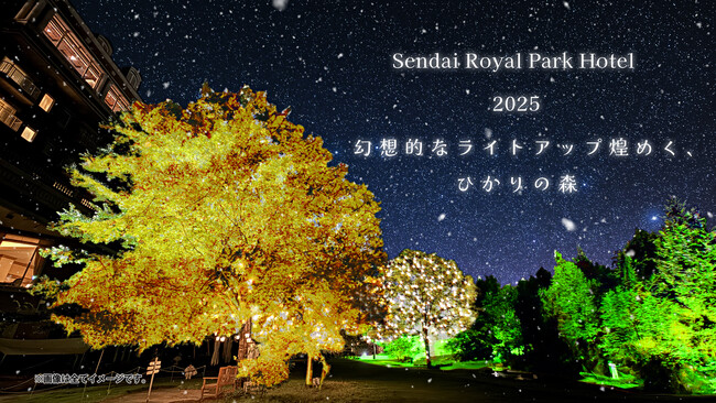 【仙台ロイヤルパークホテル】「幻想的なライトアップ煌めく、ひかりの森」／2025年11月1日(土)より開催