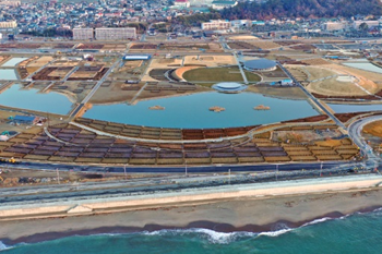 9月23日(火)「石巻復興の森植樹祭2025」を開催