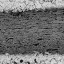 パイプ内面(流体研磨前)