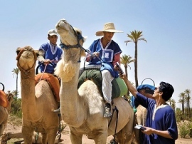 国際平和デー ~ モロッコの人権活動家のストーリー サイエントロジー・ネットワークにて9月22日 (月) 16:30に放送されます 国際平和デー ~ モロッコの人権活動家のストーリー サイエントロジー・ネットワークにて9月22日 (月) 16:30に放送されます