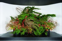 「いけばな龍生展　植物の貌2025」2025年11月21日(金)～24日(月・振休) 渋谷にて開催