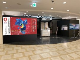 大阪・関西いけばな展 大阪・関西いけばな展