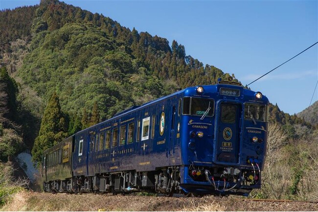 特急「かわせみ やませみ」京都鉄道博物館　特別展示記念ＮＦＴを現地で配付します！