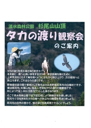 9月28日、国内有数、知る人ぞ知る観察地「清水森林公園　杉尾山」にて「タカの渡り観察会」開催