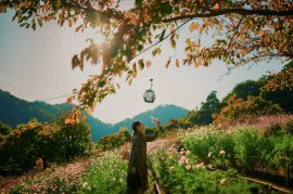 ガーデン散歩(風の丘フラワー園)