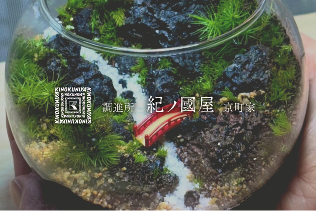 【紀ノ国屋・初開催】日常に余白を ― 京都・京町家で楽しむテラリウムワークショップ