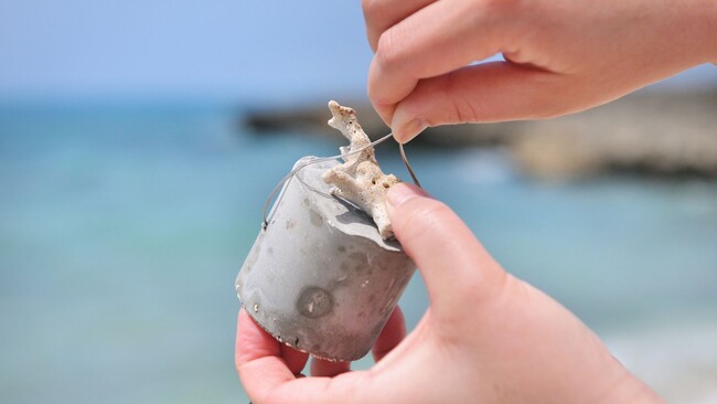 【イラフ SUI ラグジュアリーコレクションホテル 沖縄宮古】宮古ブルーの美しい海を未来へ繋ぐ「サンゴ苗付け体験」を開催