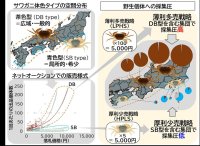 「色」で決まるサワガニの売り方　オンライン取引を介した採集圧にも影響あり! -- 摂南大学