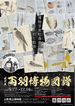 山形県立博物館　令和7年度特別展「両羽博物図譜～博物学者松森胤保に描かれた動物たち～」開催決定！2025年9月27日（土）～2025年12月14日（日）