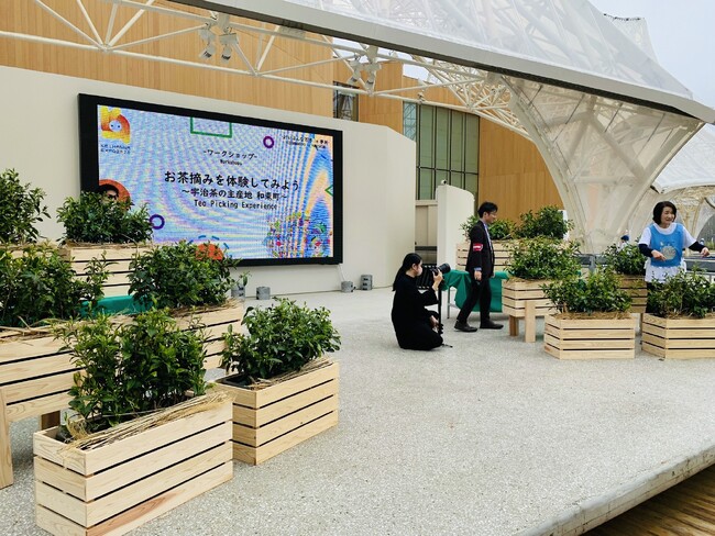 ～万博で茶摘み体験してみよう～宇治茶の主産地「和束町」のお茶を万博会場で楽しめる秋のイベント～