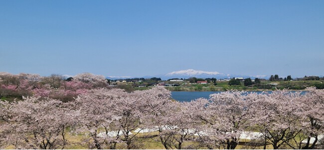 東北風土マラソン2026 来年4/19に開催決定 & 本日よりエントリー開始
