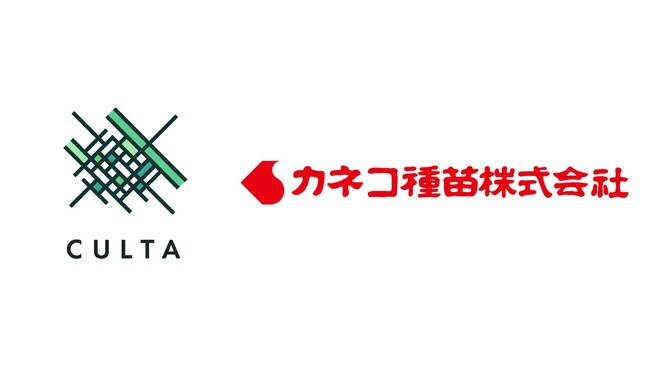 CULTAとカネコ種苗、サツマイモ育種に関する共同研究を開始─気候変動下のサツマイモ産業を担う「高速育種体制の確立」に向けて