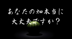 畑泥棒対策に新提案！AI搭載ワンタッチ設置型「農作物盗難防止カメラ」を提供開始（レンタル可能）