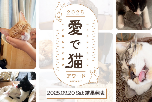 【動物愛護週間に結果発表】過去最多1,400件超の応募の中から「愛で猫アワード」「愛で犬アワード」それぞれの受賞作品を9/20(土)本日公開！