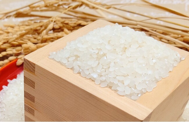 「新米」をふるさと納税で！佐賀県の米どころ「江北町」で予約受付開始！