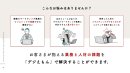 デジえもんサービス資料 デジえもんサービス資料