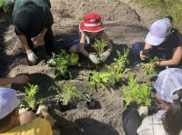 【京都水族館】「里山教室2025～冬の野菜を一緒に作ろう編～」開催