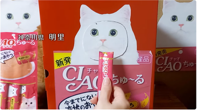 いなばペットフード　「CIAOちゅ～る3分CM」第5弾グローバル篇が完成！