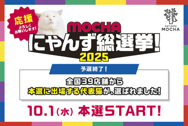 今年も国内外の代表にゃんずが出揃い、いよいよ頂上決戦へ！WEB投票も可能！グッズ化をかけた本選がついにスタート！「MOCHAにゃんず総選挙2025」