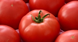 働く女性の疲れに、トマトが応える!半分食べるだけで、1日分のクエン酸が50%摂れる機能性表示食品「みつぼしトマト クエン酸」が新発売 働く女性の疲れに、トマトが応える!半分食べるだけで、1日分のクエン酸が50%摂れる機能性表示食品「みつぼしトマト クエン酸」が新発売