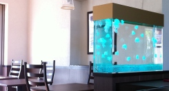 【三重県限定】オフィス・医療・飲食店に“癒し”を。人工クラゲ水槽の無料導入相談を受付（〜10/31〈金〉）｜想芸館