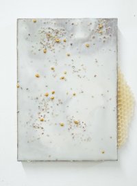 【銀座 蔦屋書店】團上祐志の個展「The double garden ― 二つの庭 ―」を9月27日（土）より開催。蜜蜂の世界を通じて私たちの生と環境の再接続と治癒を探る。