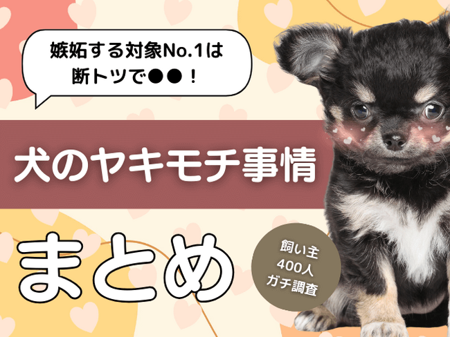 【飼い主400人に調査】犬のヤキモチ対象No.1はやっぱり●●！飼い主を虜にする可愛いエピソードが続々