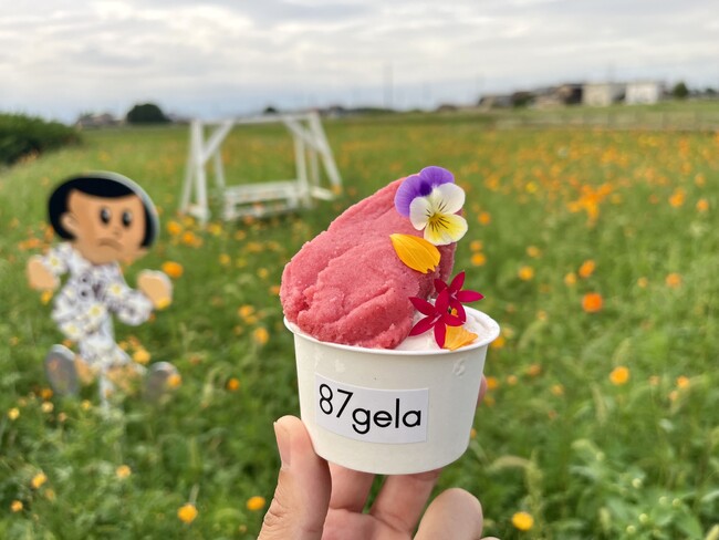 今だけの花見スイーツ体験!コスモスを眺める滋賀・東近江のお花ジェラート専門店
