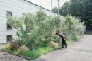 BIOTA「一条工務店群馬の事務所の外構植栽」(2024)