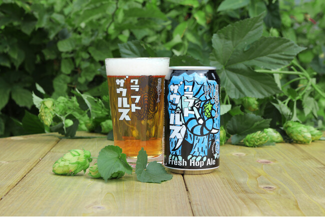 【よなよなビアワークス】シトラス香る洗練の一杯　「軽井沢ビール クラフトザウルス フレッシュホップエール2025」限定販売