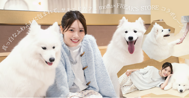 「サモエドカフェmoffu」×「FREAK’S STORE」コラボ商品発売＆ふれあいイベント開催。サモエドと過ごす“第二の家”体験をファッションと共に。