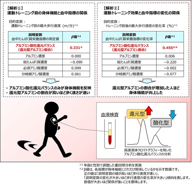 血中アルブミン酸化還元バランスが中高年齢者における身体機能の変化を反映する有用な指標となる可能性を確認