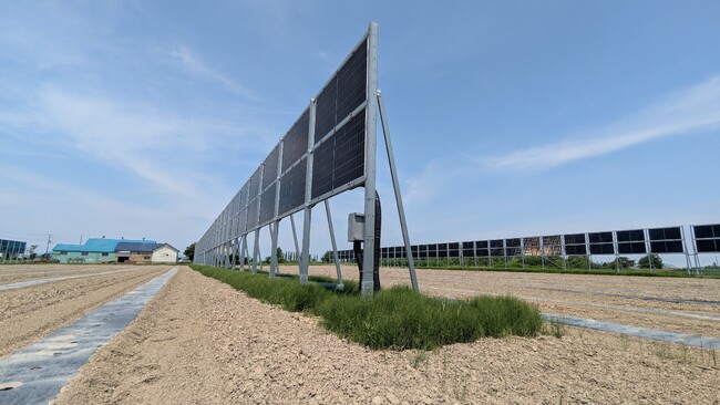 北海道岩見沢市でソーラーシェアリング型太陽光発電設備が稼働開始
