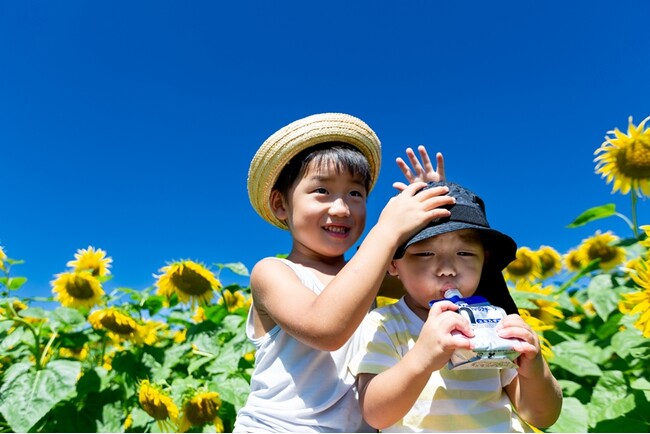 物価高でお出かけに変化はあった？ 子育て世代のお出かけ費用と工夫とは【夏休みのお出かけ結果調査レポート（2）】／いこーよ総研ユーザーアンケート