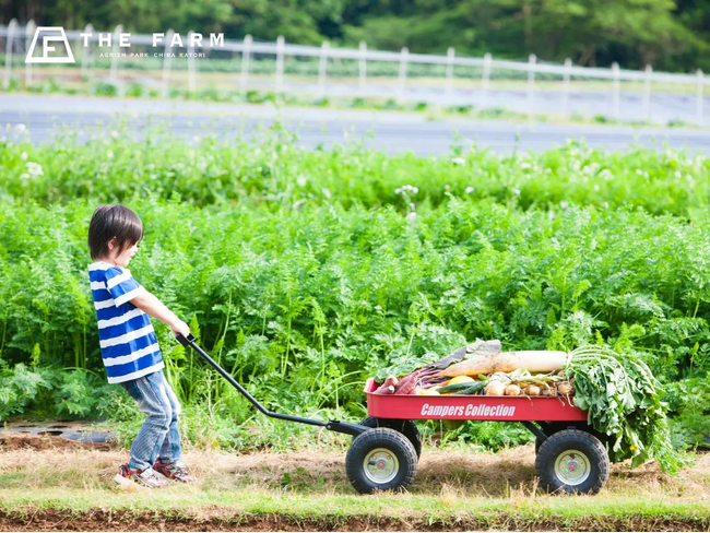 【参加費無料・特典付き】“農ある暮らし”を気軽に体感。貸農園会員(THE FARM MEMBERSHIP)秋の見学会を開催