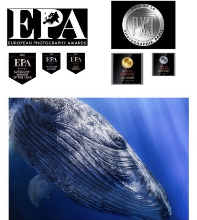 日本を代表するフォトグラファー右近倫太郎が、国際フォトコンテスト「PX3 (Prix de la Photographie Paris) 2025」プロフェッショナル部門でGOLD WINNERを受賞