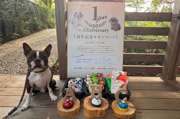 愛犬と泊まれるプライベート温泉付き宿泊エリア「Dear Wan Spa Garden」オープン1周年記念　プレゼントキャンペーンと特別な宿泊プランを10月1日（水）より提供開始